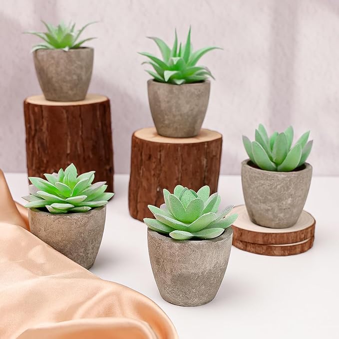 Woration 6pcs Artificial Succulents Plants Potted Assorted Decorative Faux Fake Small Green Succulent with Pot Table Shelf Windowsill Indoor Greenery Decor