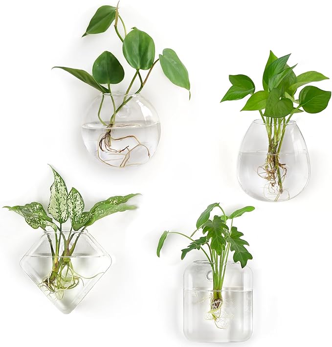 Mkono Propagation Wall Hanging Planter Glass Terrarium Flower Vases Holder for Indoor Plants, Home Living Room Office Decor Plant Lover Gifts, Set of 4(Plants not Included)
