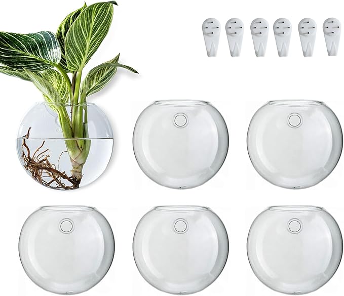 Wall Hanging Planter Propagation Station, Oblate Glass Flower Vase for Propagation, Wall Planter for Indoor Plants, Modern Home Office Corridor Bathroom Decor (6)