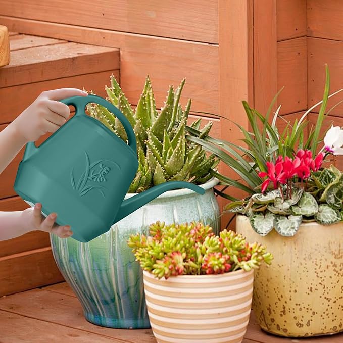 Plastic Watering Can - for Indoor and Outdoor Home Garden Plants - with Long Spout - Green - 1/2 Gallon
