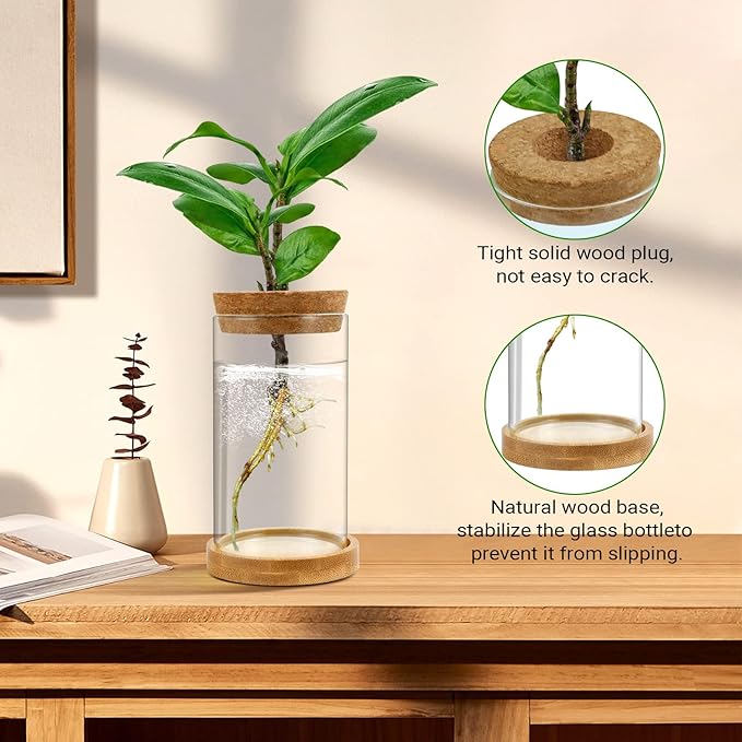 Plant Propagation Stations 3 Pack Plant Terrarium, Propagation Jars Glass Hydroponic Vases for Indoor Plants, Desktop Glass Plant Pot with Lid & Wooden Stand Gardening Gifts for Women Mom Plant Lovers