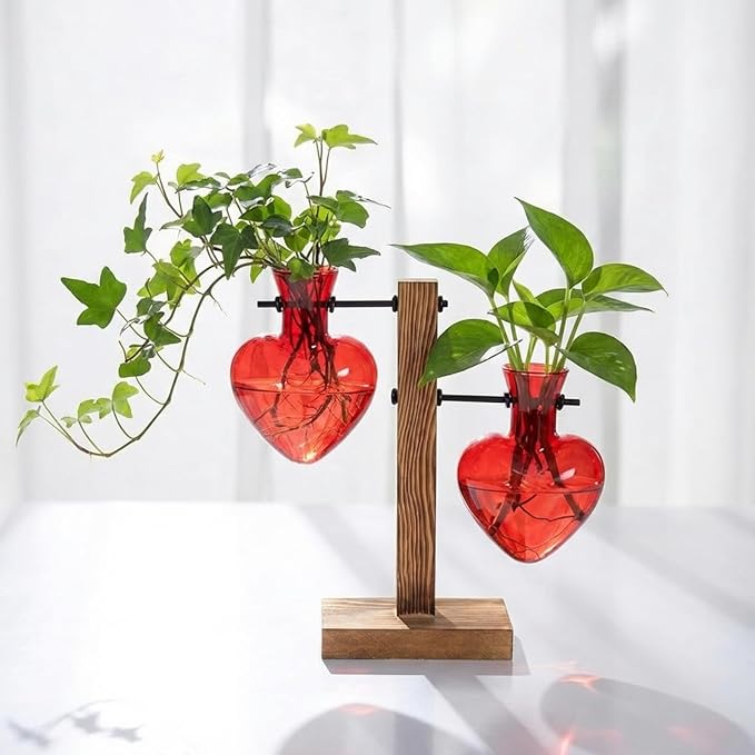 Remerry Red Heart Plant Terrarium with Wooden Stand 2 Heart Glass Vases Planter Propagation Station Tabletop Planter for Hydroponics Decor Plant Lover Gift