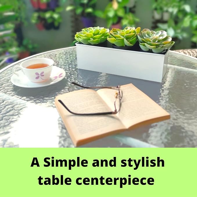 LaLaGreen Wall Planter (3 Pack, 12 Inch) Wall Hanging Plant Holders White, Large Long Rectangular Metal Wall Mounted Flower Pots, Window Sill Planters Box Fence Railings Garden Floating Shelve Outdoor