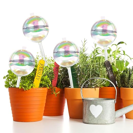 ZephyrBloom 13 oz Up 2 Weeks Large Plant Watering Globes & Bulbs, Self Watering Glass Globes to Water Plants While Away, Indoor Outdoor Automatic Slow-Release Watering Bulbs for Houseplants 2 Pack