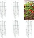 MTB Green Square Folding Tomato Cage Plant Support Tower 12 inch by 46 inch, Pack of 5 Sets