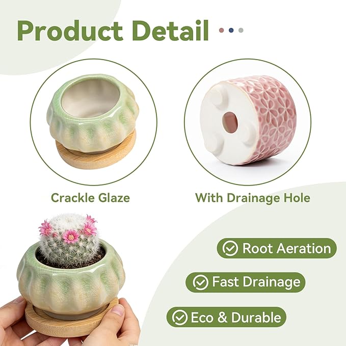 8 Pcs Succulent Pots with Ice Crack Glaze, 2 Shapes & 8 Colors Ceramic Succulent Planters with Drainage Holes & Bamboo Saucers, Indoor Plant Pots for Home Garden，Desk Decor, Office Decor, Gift Idea