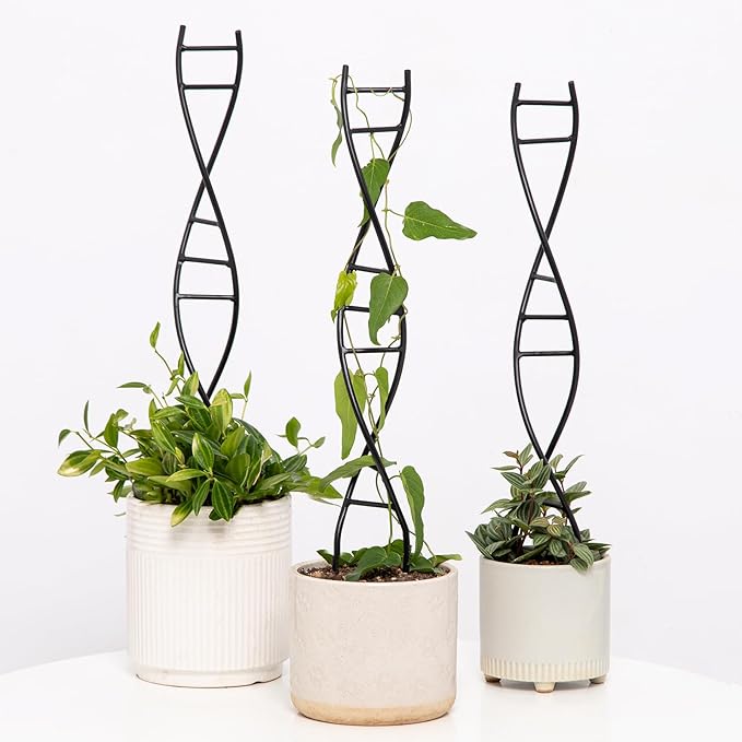 Yohsnor 3 Pcs Indoor Plant Trellis Set - Black Metal DNA Design for Potted Plants, Small Houseplants & Climbing Support - Modern Home Decor & Vertical Garden Display - Perfect for Indoor & Outdoor Use