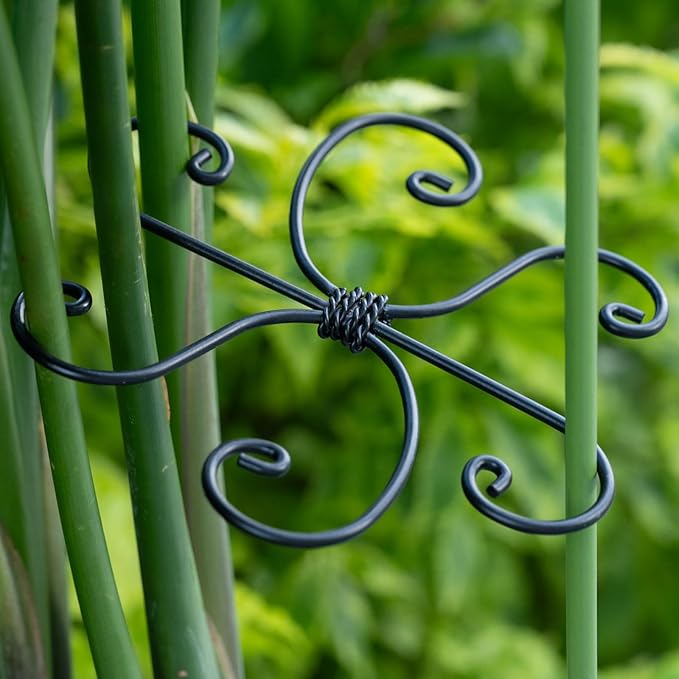 Yohsnor Black Monstera Plant Support 5.5IN 5PCS Premium Stem Support System for Indoor Plants, Durable Stabilizer for Monstera and Climbing Plants, Easy Installation Leaf Holder, Fishbone Cactus Stake