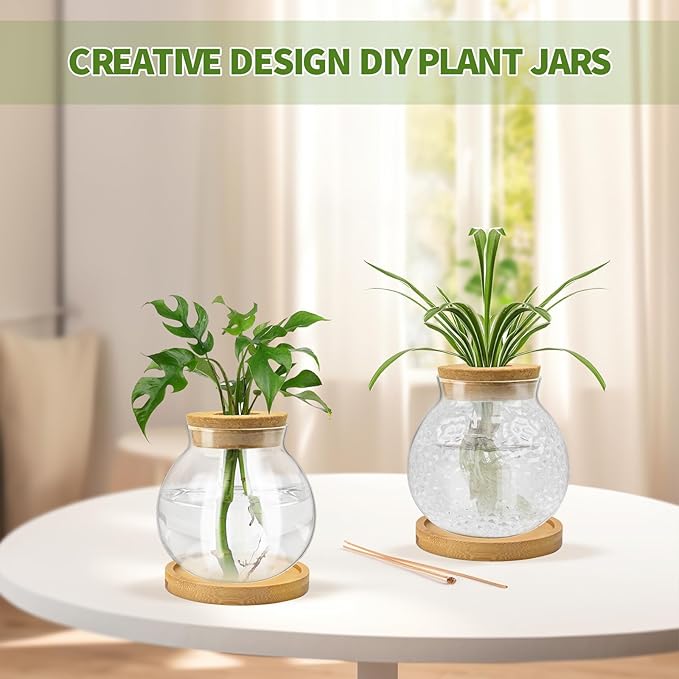 Plant Propagation Station, Water Planting for Plants with Tray & Wooden Saucer, Hydroponics Plants Jars Home Office Desktop Decor, Glass Planters for Indoor Hydroponic Decor
