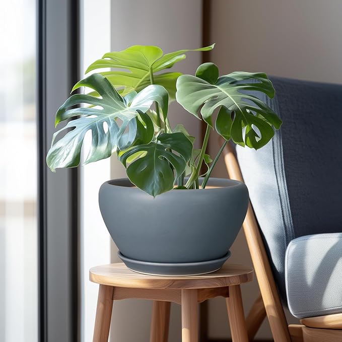 Ceramicfor Ceramic Plant Pot - 11 Inch Planter for Indoor Plants Large Plant Pot with Drainage Hole and Saucer Round Outdoor Planter Modern Flower Pot for Home Decor Gray