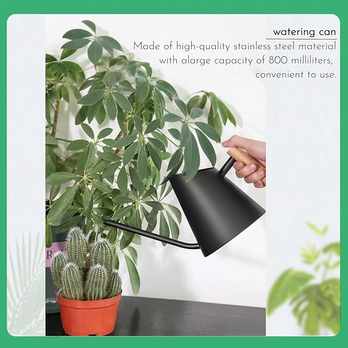 800ml Indoor Watering Can with Long Spout,28oz Capacity, Black Metal with Wood Handle (Black-Z2)