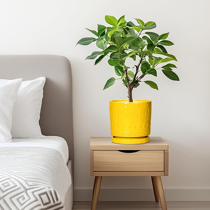 Eightpot 6 Inch Pots for Plants, Ceramic Pots for Plants with Drainage Holes and Tray, Round Planter for Indoor Outdoor, Modern Plant Pot, Decorative Flower Pot, Table Decor, Teacher Gift, Yellow