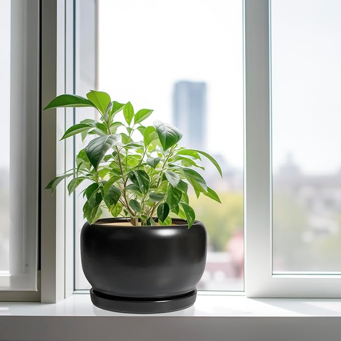 SQOWL Ceramic Flower Pot - 10 Inch Planter with Drainage Hole and Saucer, Modern Large Plant Pot Indoor Outdoor, Decorative Round Planter, Bedroom Decor, Gifts for Plant Lovers, Black