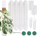 MIIIM 4 Pcs Self-Watering Moss Poles, D Shape Moss Pole Kit for Climbing Plants Indoor, Semi Transparent Monstera Plant Support, 2 Drip Cups and 2 Anchor Stake