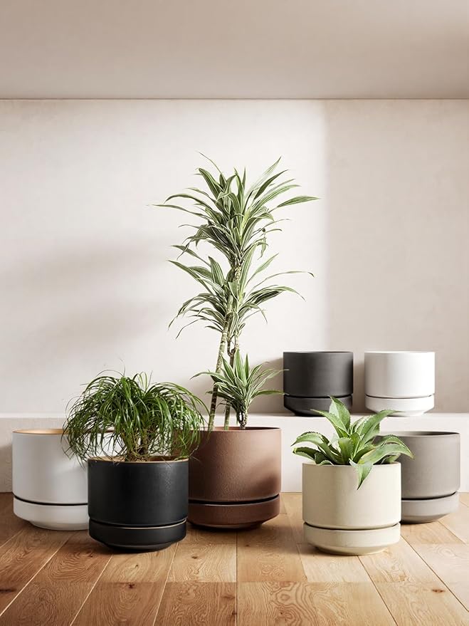 LE TAUCI 12 Inch Pot for Plants with Saucer, Ceramic Indoor Planter Pot with Drainage Hole, Mesh Pad Included, Unglazed Porous Ceramic, Modern for Home and Office, Charcoal Gray