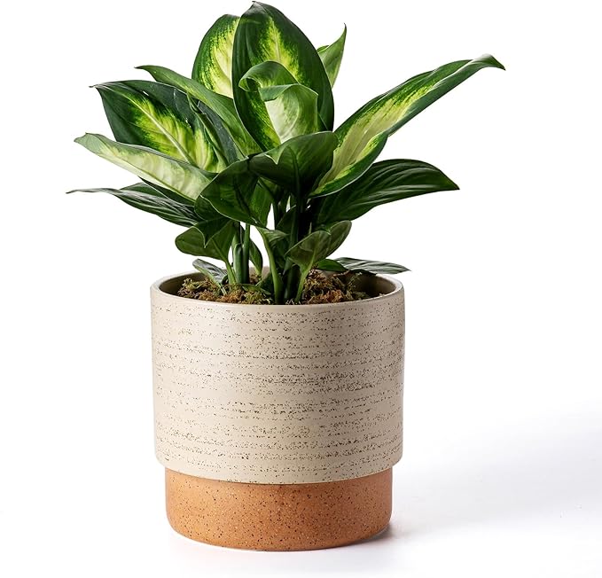 Self Watering Ceramic Planter: 8 Inch Plant Pot with Drainage Hole & Water Storage Plus for Outdoor & Indoor Plants, Succulents, Herbs - Flower Pot for Home or Office Decor - Brush
