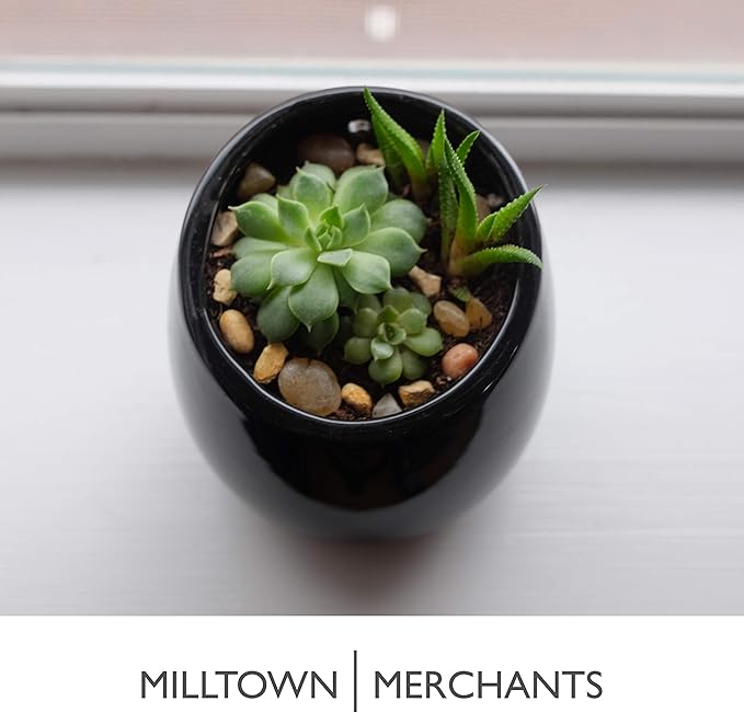 Succulent Wall Planter - Black Ceramic Mounted Vase - Plant Pot for Living Wall (1 Pack/Modern/Black)