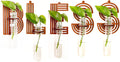 Bless Letter Wall Propagation Planters Test Tubes Wall Decor for Hanging Plants Clear Water Plant Vase Brown Wood Upletter Alphabet 5 Pack Boho Functional Art