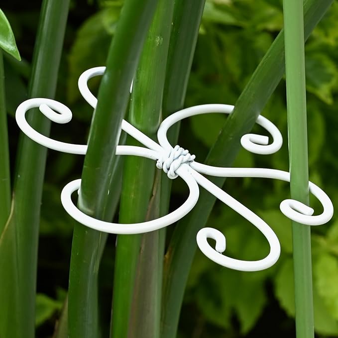 YOHSNOR 5PCS Monstera Plant Support Hook White 4.1 * 4.1 Inch – Set of 5 Durable Metal Stem Stabilizer Clips & Soft Grip Leaf Holders for Healthy Growth of Monstera & Fishbone Cactus