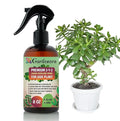 Gardenera Proffesional Jade Plant Spray Fertilizer Mist for Home Gardening | 3-1-2 Gentle Blend Mist for Healthy Leaves & Growth | Essential Nutrients for Jade Plants - 8oz