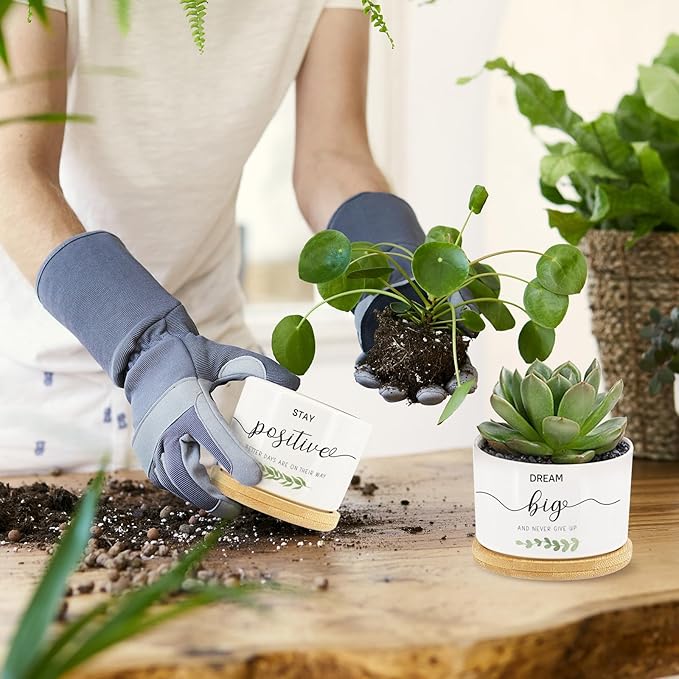 Tarklanda 6 Pcs Thank You Gift Succulent Pots Mini Ceramic Plant Pots with Bamboo Tray Flower Pots Planters for Teacher Coworker Employee Nurse Friends Appreciation, Plants Not Included