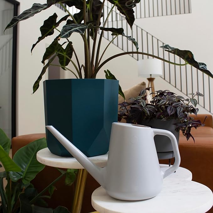 Bloem Fern Cement Gray 1.5 Liter Modern Resin Watering Can for Indoor and Outdoor Use