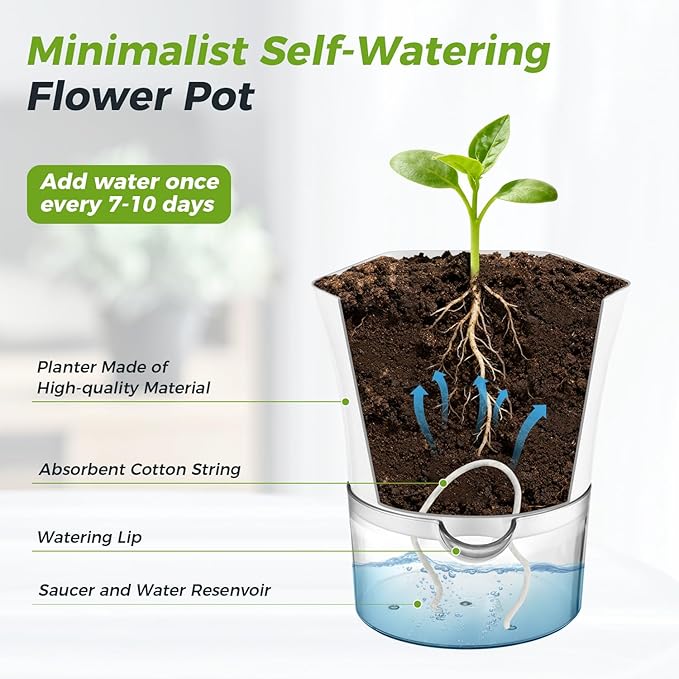 10-Pack 6" Clear Self Watering Pots for Indoor Plants Large Hexagon Self-Watering Planters Orchid Pots Plastic Wick Flower Plant Pots for African Violet, Spider, Herbs, Home Decor, White and Clear
