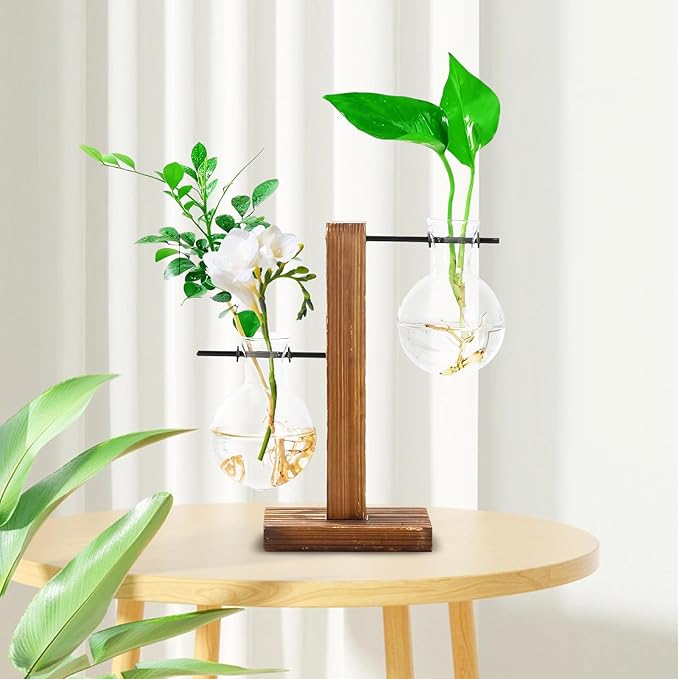 Wooden Base Glass Vase - Plant Holder & Propagation Station for Hydroponic Plants, Desktop Terrarium with Wooden Stand, Stylish Home & Office Décor, Great Gift for Plant Enthusiasts (FGJ-2B)