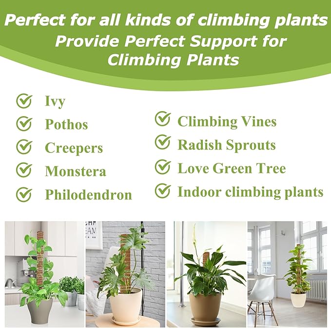 Sukh Moss Totem Pole - Moss Pole for Plants Monstera 2 Pcs 15.7 Inch Coco Coir Pole for Climbing Indoor Potted Plants Training Grow Upwards with Jute String Moss Stick for Plant Support Extension