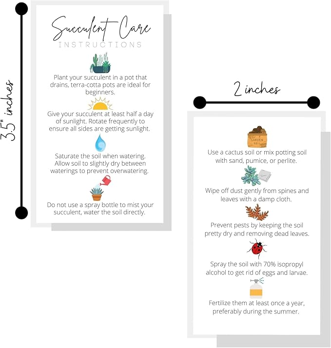 Succulent Care Instruction Cards | 50 Pack | 2x3.5” in Business Card | Succulent Care Cards | Plant Care Guide for House Sitter, Neighbor, Friend | White Card with Colored Icon