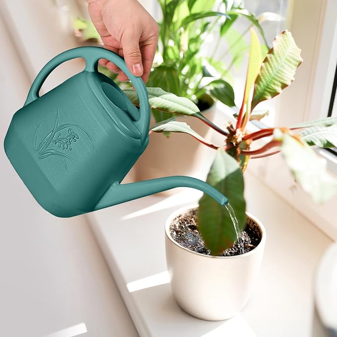 Plastic Watering Can - for Indoor and Outdoor Plant - 1/2 Gallon - Green