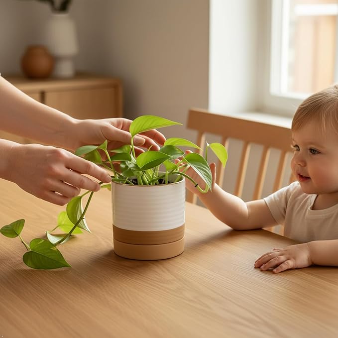 HASENSE 6 Inch Indoor Plant Pot, Ceramic Flower Planter with Drainage Hole and Saucer, Modern Pots for Plant with Two-Tone Design, Perfect for Wedding Birthday Gift, White-Brown
