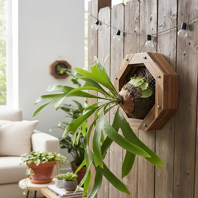 Staghorn Fern Mounting Kit - Wood Wall Planter for Orchids,Herbs & Indoor Plants | Hanging Plant Holder,Basket & Stand for Wall Decor(8.18inch)