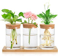 Lawei 3 Pcs Plant Terrarium Propagation Stations, Tabletop Glass Water Planting Glass Vase with Wooden Tray, Clear Jars Containers for Grow Hydroponic Plants Home Office Decoration