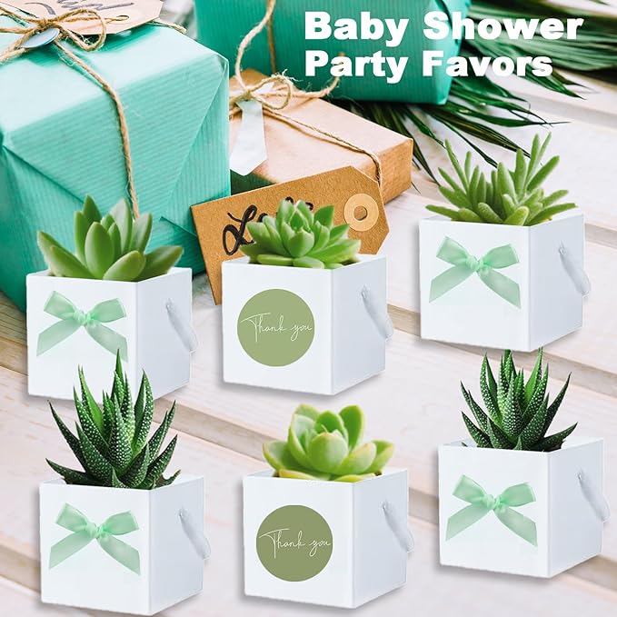 HejVulkan 40 Pack Succulent Wrap Bags Set with 2.5 inch Succulent Gift Bags, Mini Bows and Thank You Stickers, Great Party Favor Gifts for Wedding, Baby Showers, Bridal Showers(White)