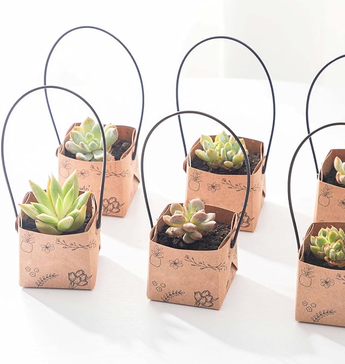 40Pcs Succulent Wrap Bags (fits 2 inch pots), Mini Kraft Succulent Favour Box Basket with Handle for Wedding, Baby Shower, Succulent Party Favours for Guests