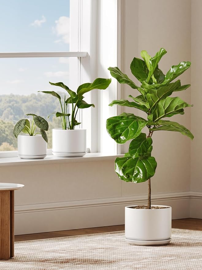 LE TAUCI Ceramic Plant Pots, Set of 2, 8+10 Inch Plant Pots Indoor with Drainage Hole & Saucer, Sturdy Planters for Indoor Plants, Modern Minimalist Decor for Snake Plant, Monstera, White
