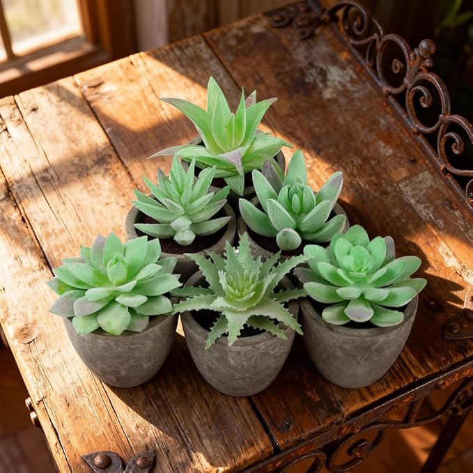 Woration 6pcs Artificial Succulents Plants Potted Assorted Decorative Faux Fake Small Green Succulent with Pot Table Shelf Windowsill Indoor Greenery Decor