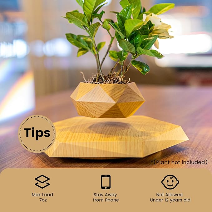 Levitating Plant Pot,Magnetic Floating Plant Pot for Small Plants,360°Rotating Levitating Desk Decor for Home & Office,Floating Pot Gift for Plant Lovers,Birthday, Christmas, New Year(Wood)