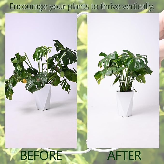 Yohsnor 5PCS Monstera Plant Stem Support White - 11x9.4 inches, Durable Adjustable Leaf Supports for Indoor Plants, Fishbone Cactus Stake Holder for Garden Stability