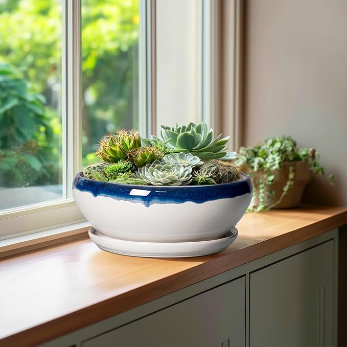 SQOWL Bonsai Pots - 10 Inch Ceramic Pots for Succulents Indoor, Shallow Planter with Drainage Hole and Saucer, Round Succulent Planters Bowl, Kitchen Decor, Housewarming Gifts, Blue Off-White