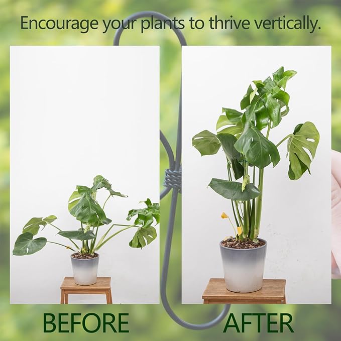 Yohsnor Monstera Plant Stem Support 5 Pcs - 7.5” Indoor Plant Stabilizer Holder for Monstera & Climbing Plants - Durable, Lightweight, Easy to Use for Optimal Growth & Stability - Home Décor Friendly