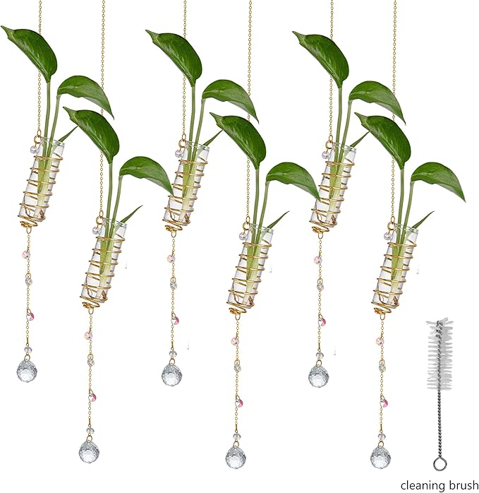 H&D HYALINE & DORA 6 Pcs Hanging Propagation Station with Crystal Ball Prisms Suncatcher and Cleaning Brush, Glass Wall Vases Crystals Prism Hanging Decor for Windows Home Wedding Decoration(Golden)
