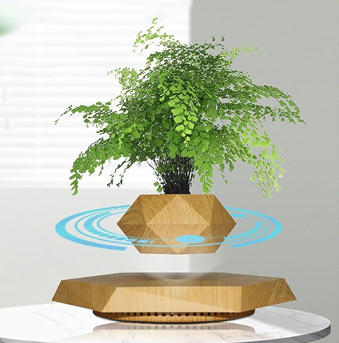 Magnetic Levitation Planter, Rotating Floating Pot for Succulents, Unique Home Office Desk Decoration