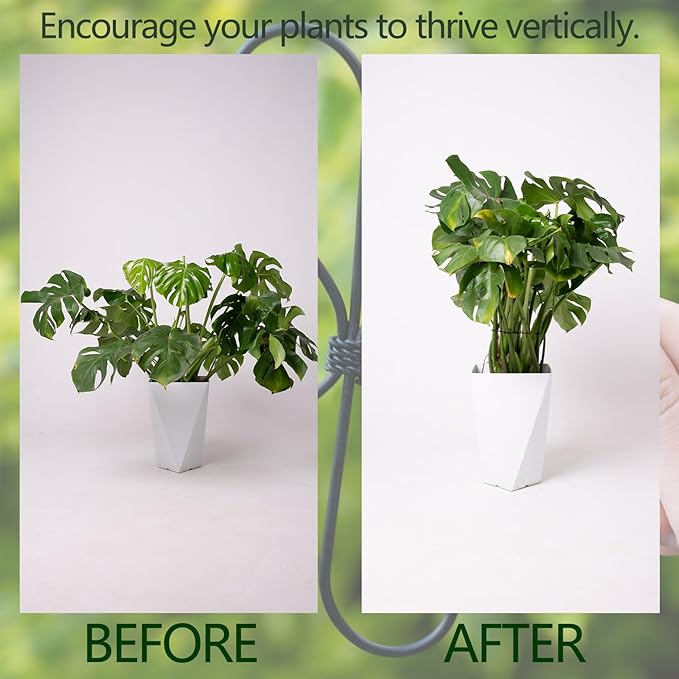 Yohsnor Black Monstera Plant Support Hook - 6.5 * 6.5IN -5 Piece Set, Durable Metal Stem Supports for Indoor Plants, Leaf Holder & Fishbone Cactus Stake, Stylish Design for Healthy Growth & Easy Care