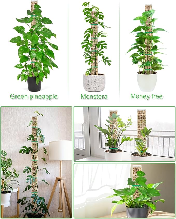 4 Pcs Large D Shaped Poles for Monstera, 24 Inch Plastic Moss Pole for Indoor Climbing Plants, Stackable Plant Support Kit Work with Sphagnum Moss