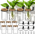 Baderke 6 Set Wall Plant Holder with Plastic Propagation Vases Hanging Planter Wall Mounted Set for Plants Growing in Water Hydroponic Artificial Plants Indoor Decor (2.48" X 3.94",Classic)