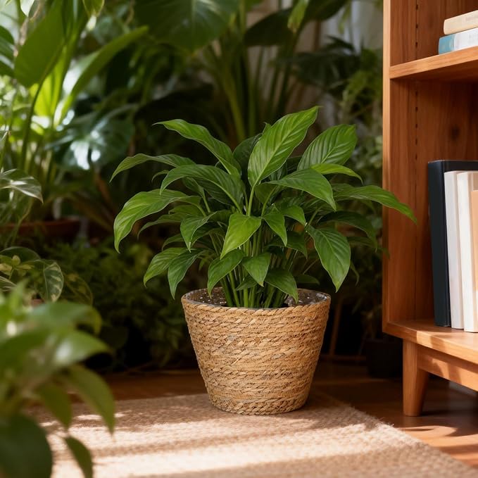 BESPORTBLE 2pcs Rattan Flower Basket Woven Plant Basket for Indoor Rustic Wall Flower Arrangement