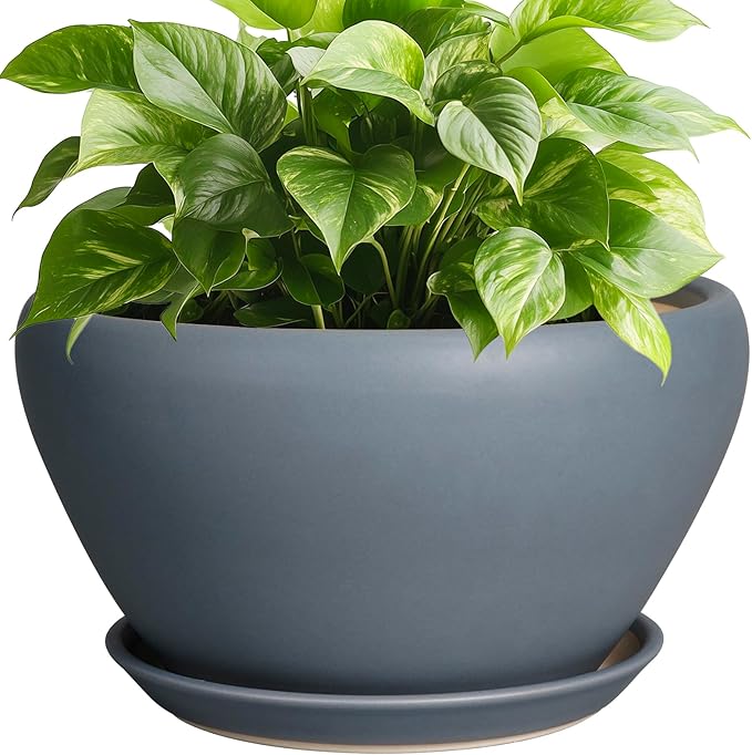 Ceramicfor Ceramic Pots for Plants - 9 Inch Planter for Outdoor Plants Large Plant Pot Indoor with Drainage Hole and Saucer Decorative Modern Flower Pot for Home Garden Decor Gray