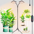 2026 2Head Grow Light with Upgrade Stand, Big Coverage Grow Lights for Indoor Large Plant, Bonsai Tree, 4/8/12/16/20H Timer, 50 Watt Power Draw, NO Need Adapter, 24"-76" Height Adjustable